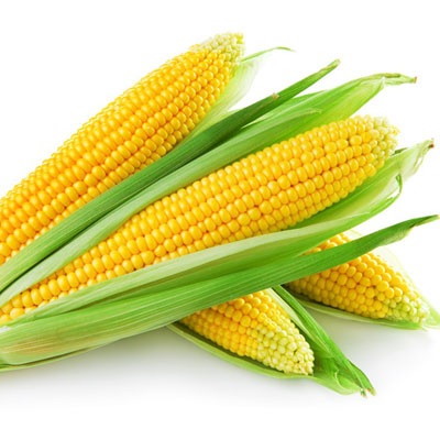 Corn